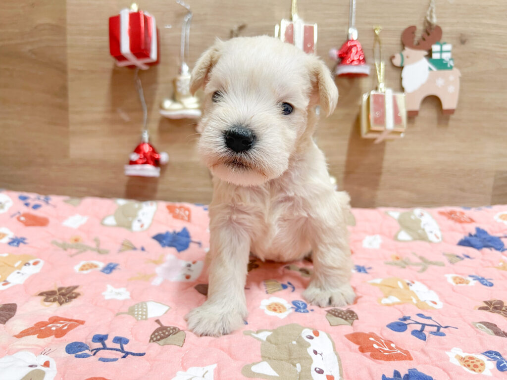 2025年12月5日撮影