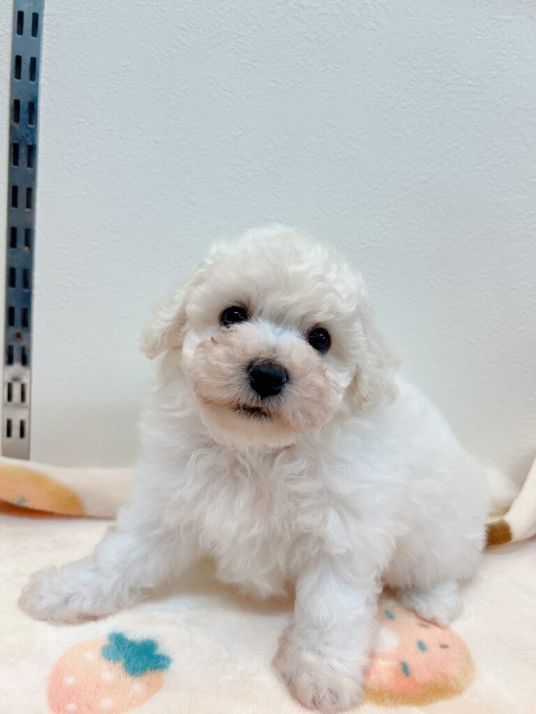 206年6月12日撮影