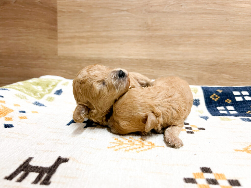 すくすく育ってます♡