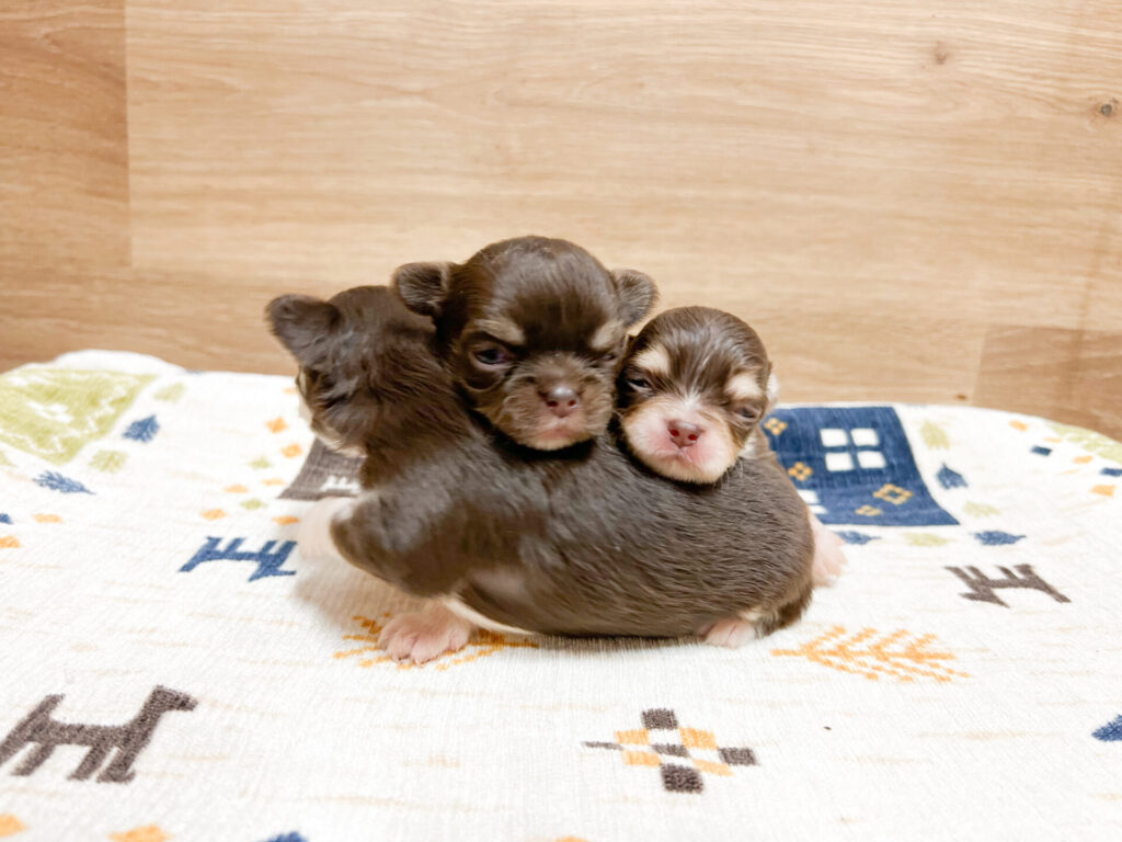 すくすく育ってます♡