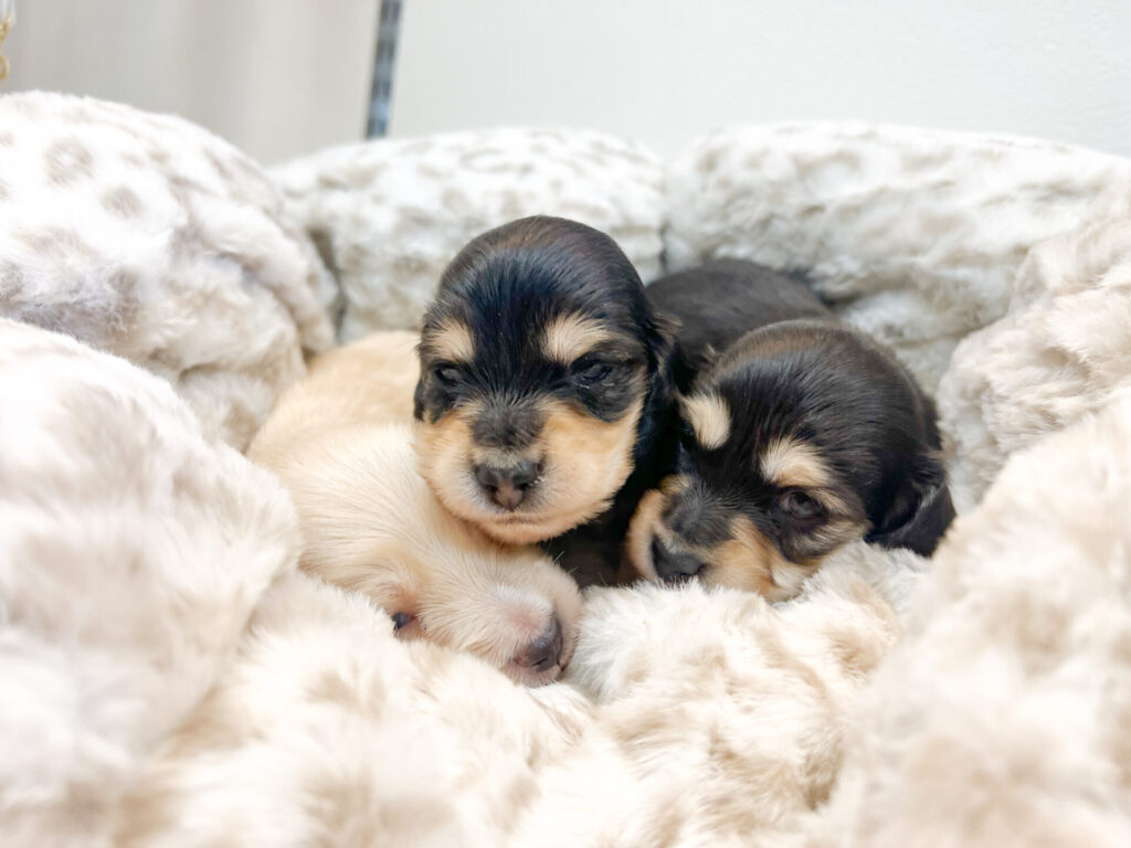 すくすく育ってます♡