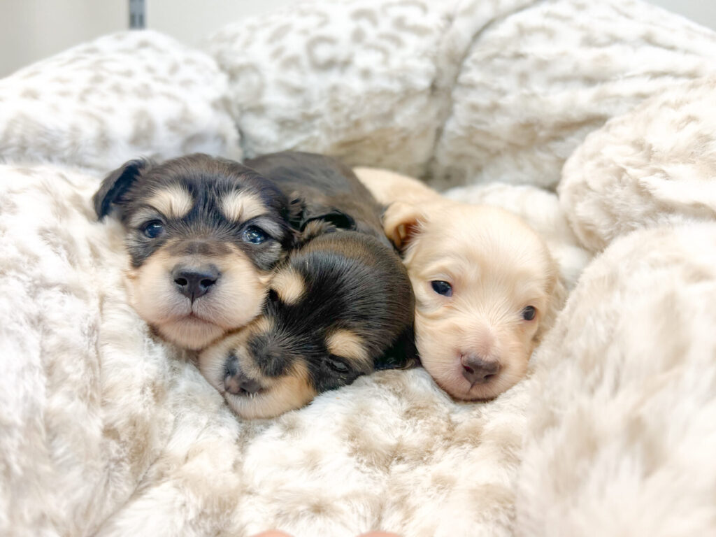 2025年12月15日撮影 