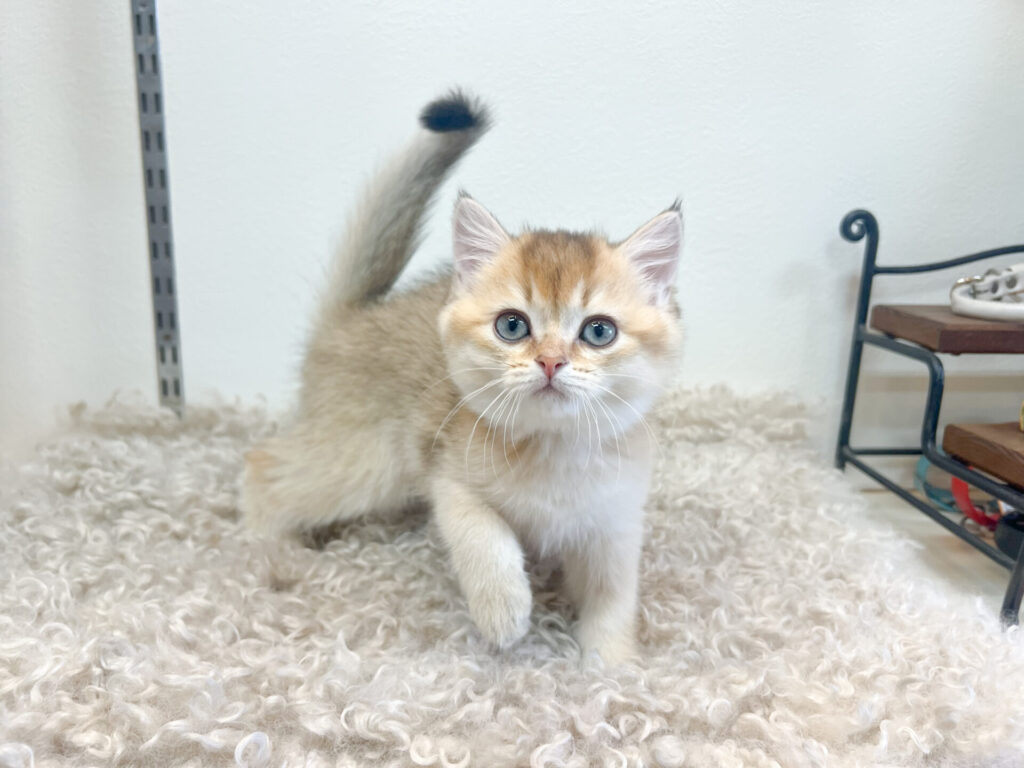 2025年12月15日撮影