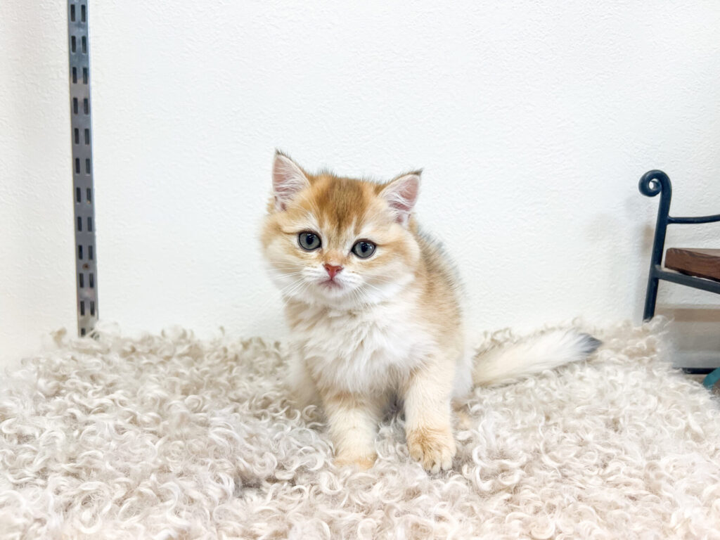 2025年12月15日撮影