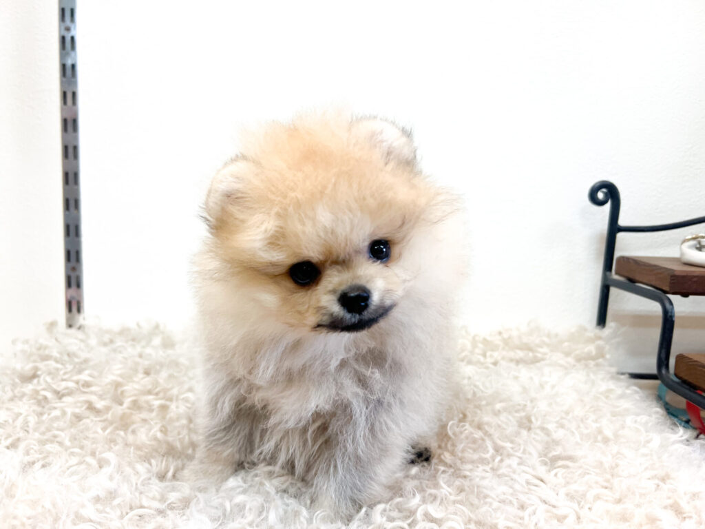 2025年12月15日撮影