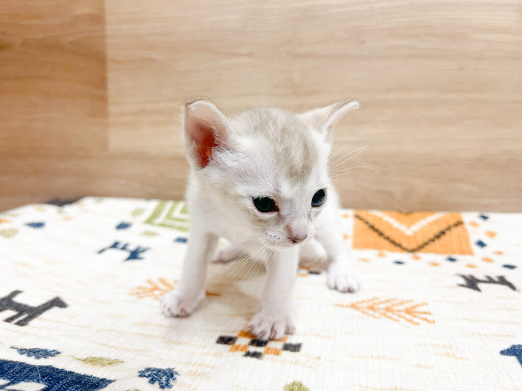 すくすく育ってます♡