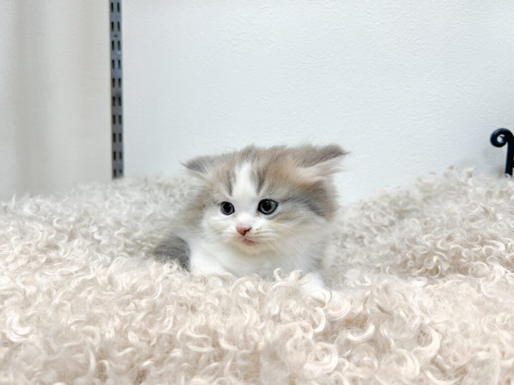 すくすく育ってます♡