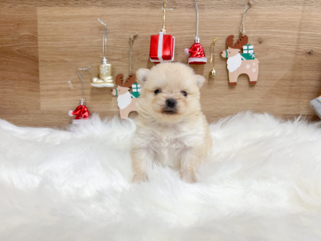 すくすく育ってます♡