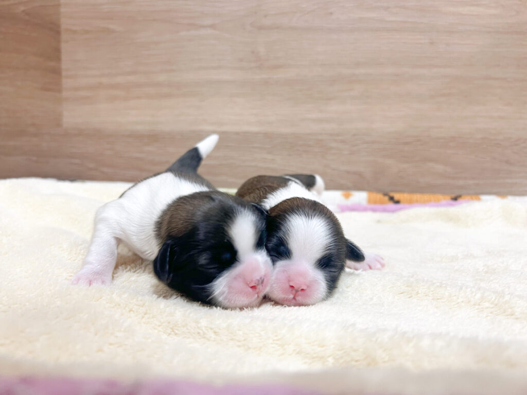 すくすく育ってます💕🍼