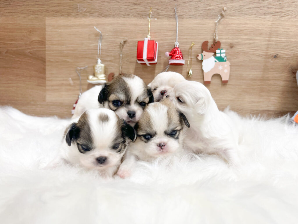 すくすく育ってます♡