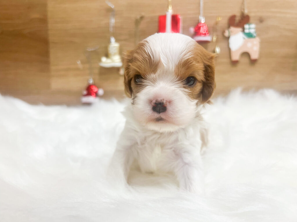 すくすく育ってます♡