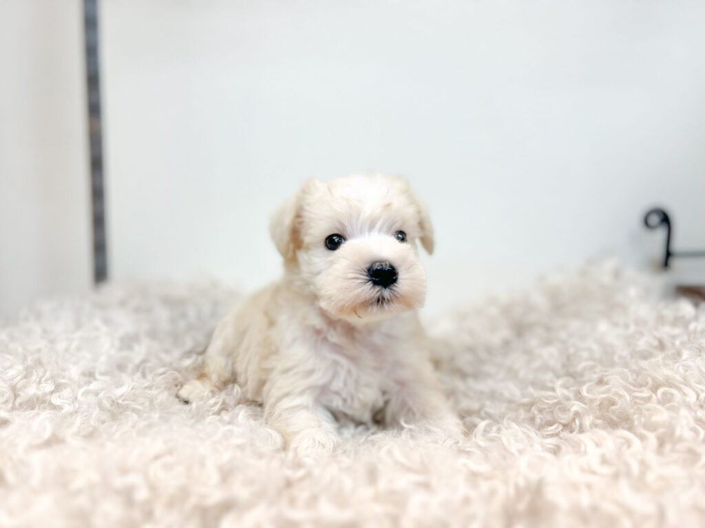 2025年12月22日撮影