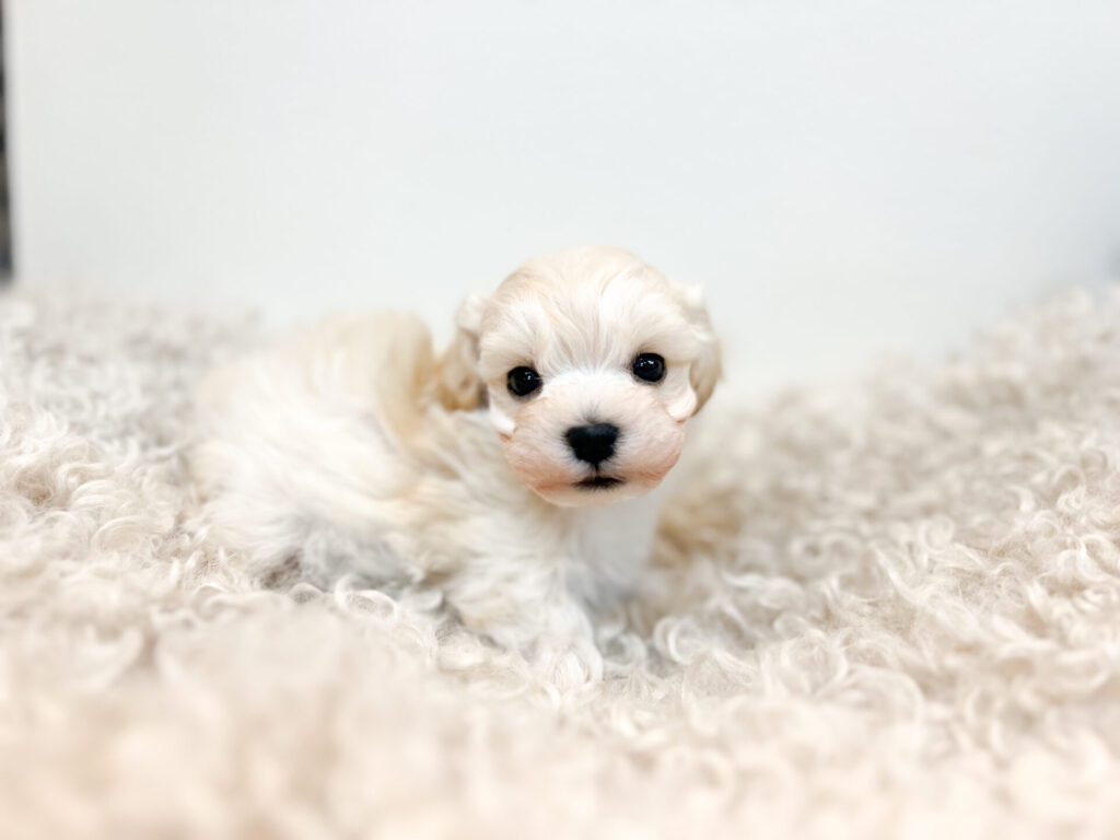 2025年12月22日撮影