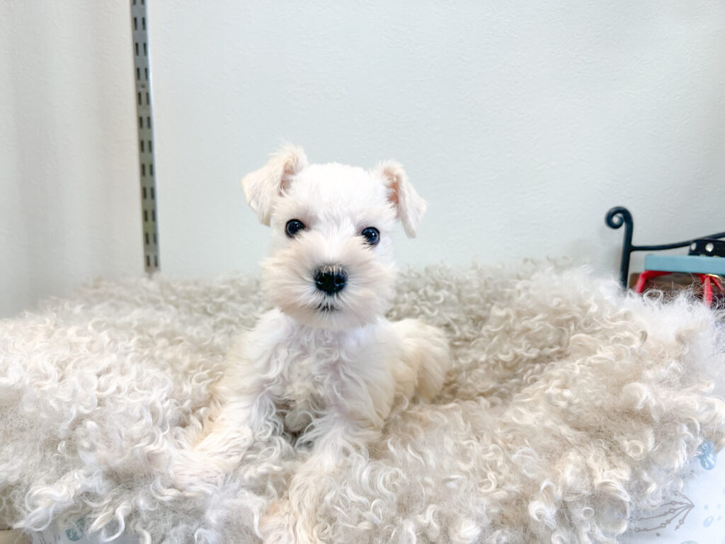 2026年1月9日撮影