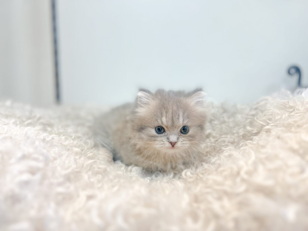 2026年1 月9日撮影