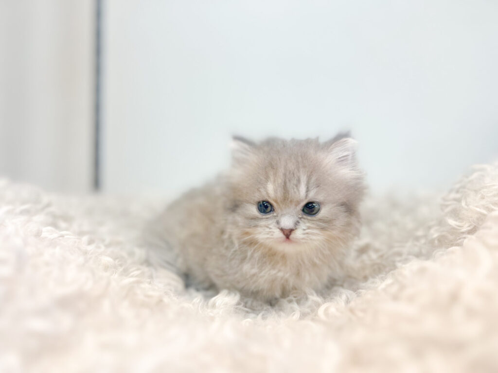 2026年1月9日撮影