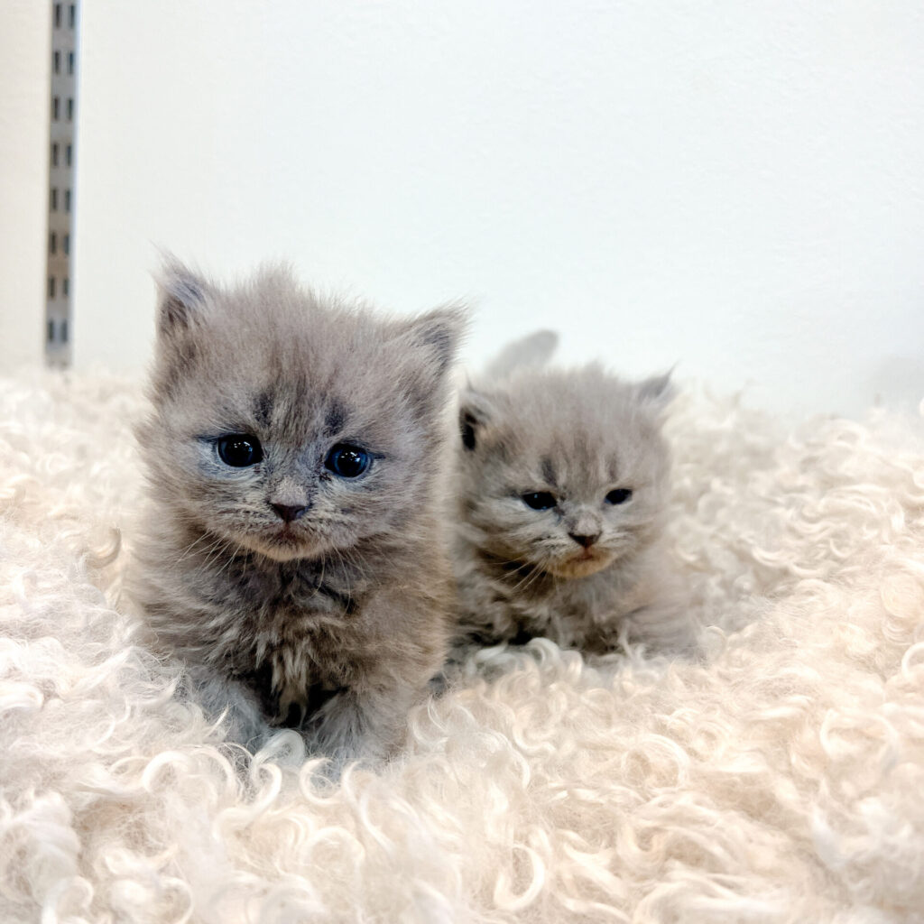 2026年1月10日撮影