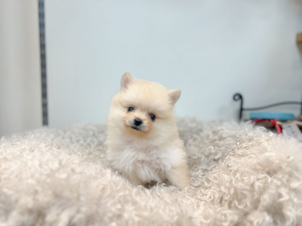 2026年1 月9日撮影