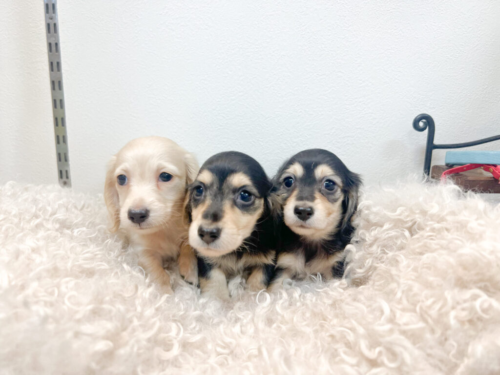 2026年1 月9日撮影