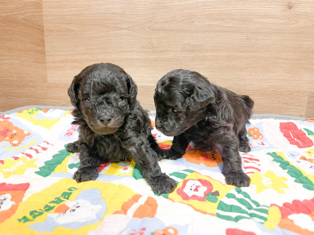 2026年1 月10日撮影