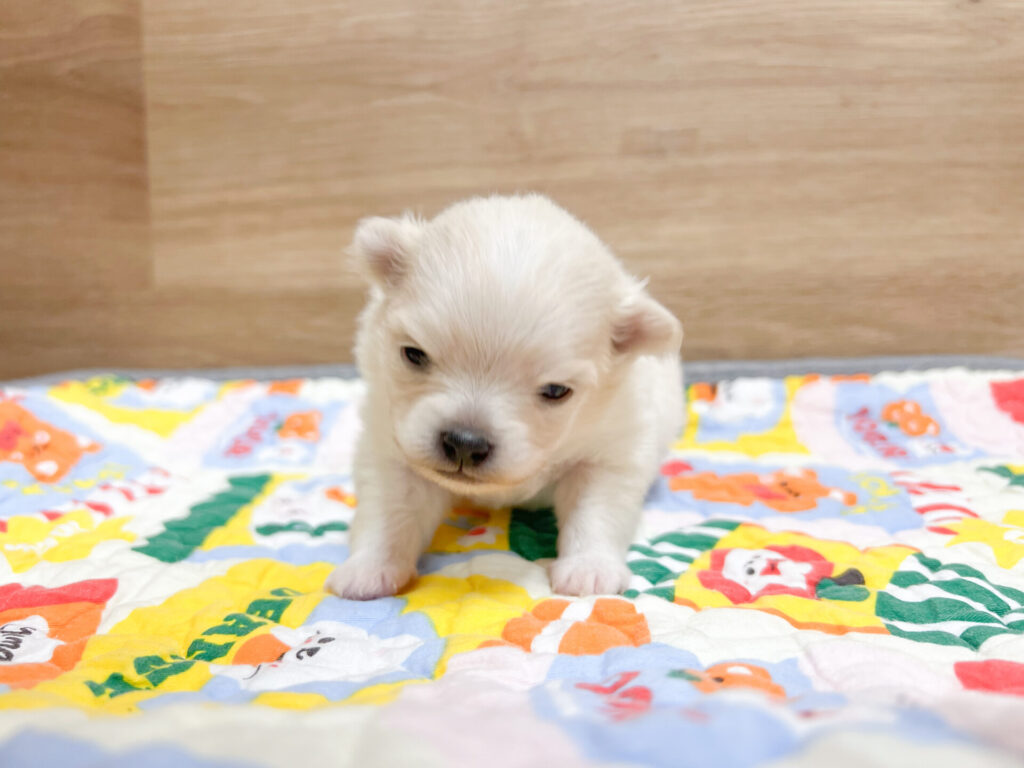 2026年1 月10日撮影