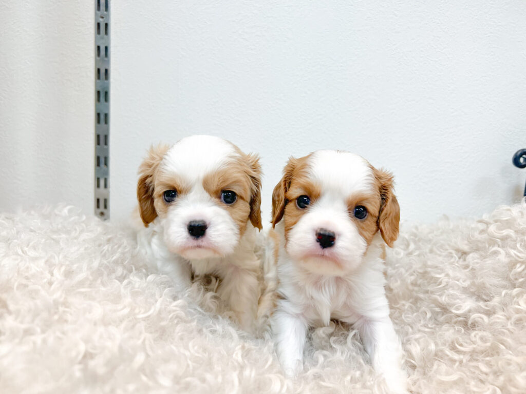 2026年1月10日撮影