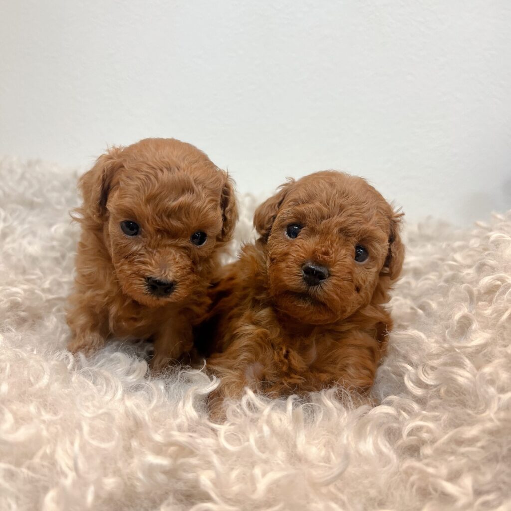 2026年1 月10日撮影