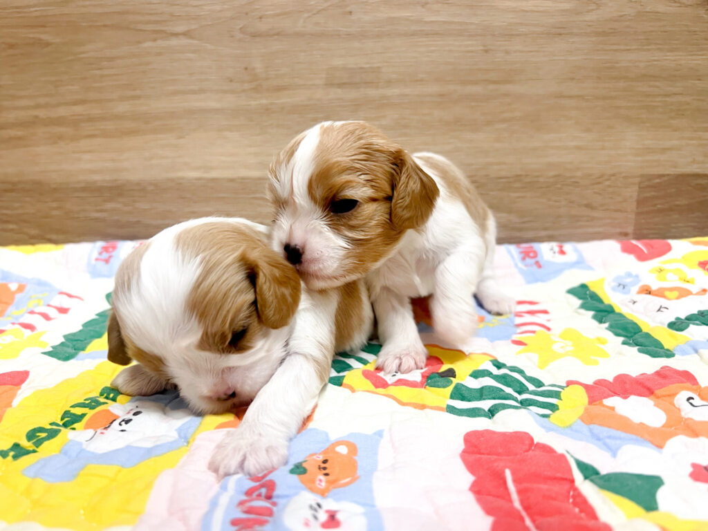 2026年1月23日撮影