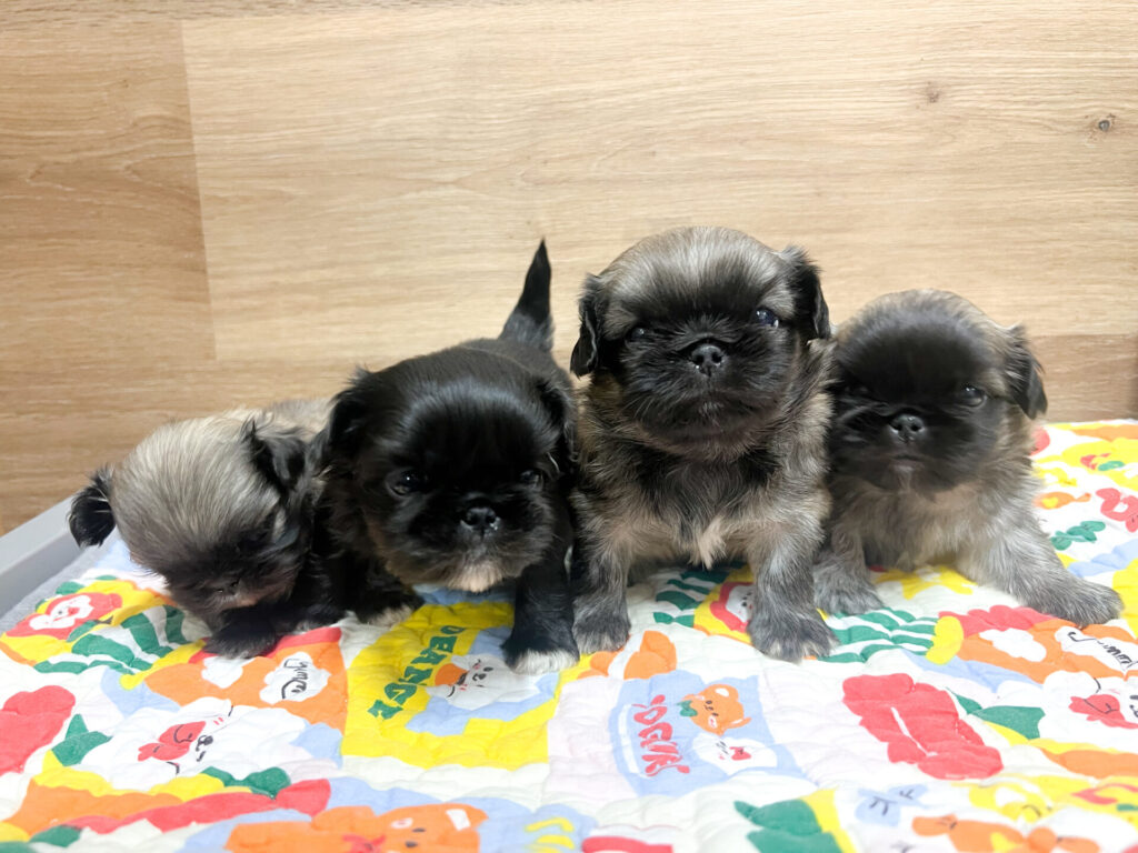 2026年1月23日撮影