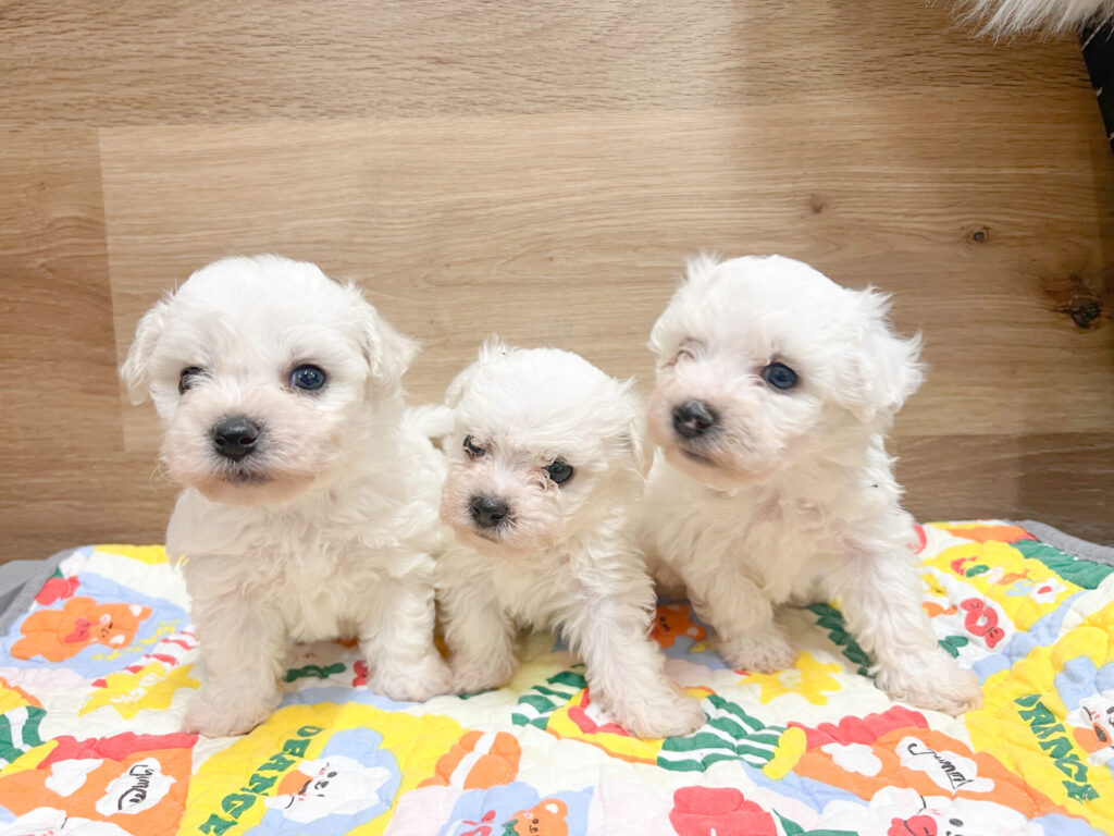 2026年1月23日撮影