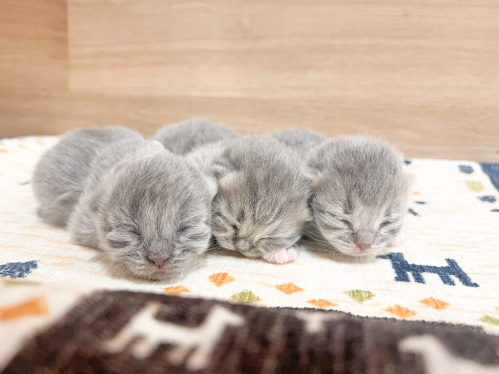 すくすく育ってます♡