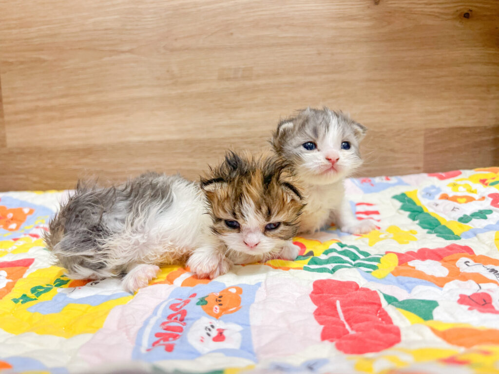 2026年1月23日撮影