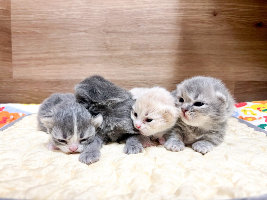 2026年1月23日撮影