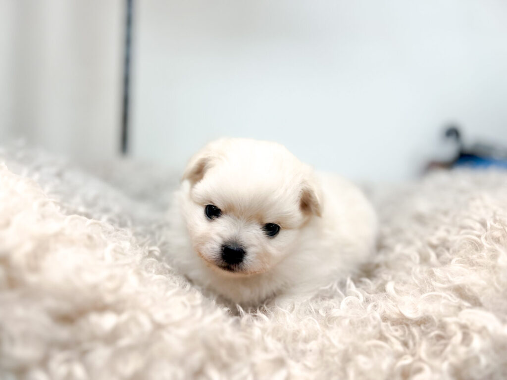 2026年1月23日撮影