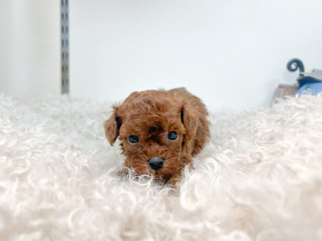 2026年1月23日撮影