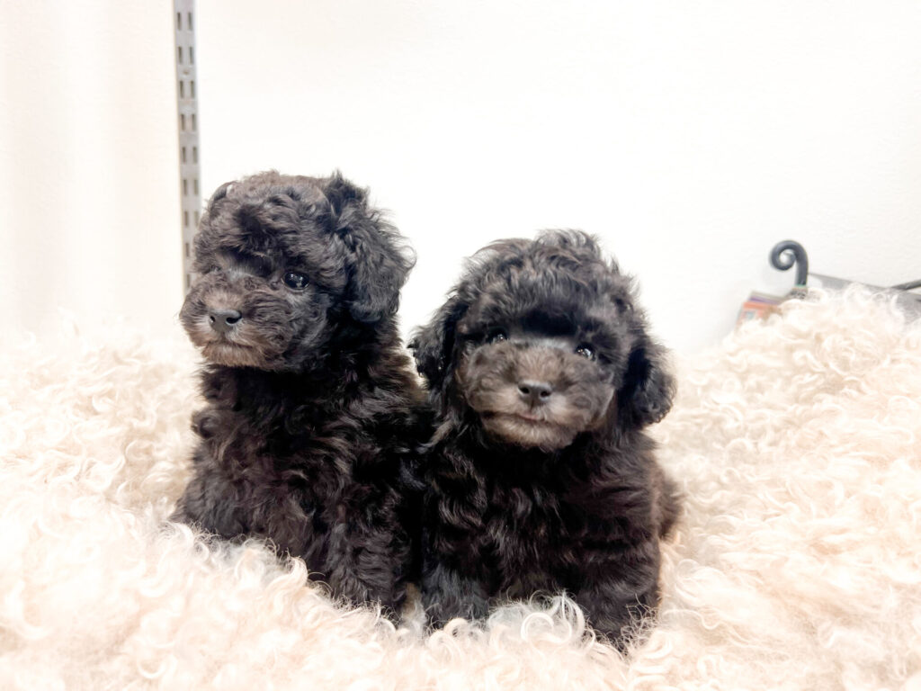 2026年1月26日撮影