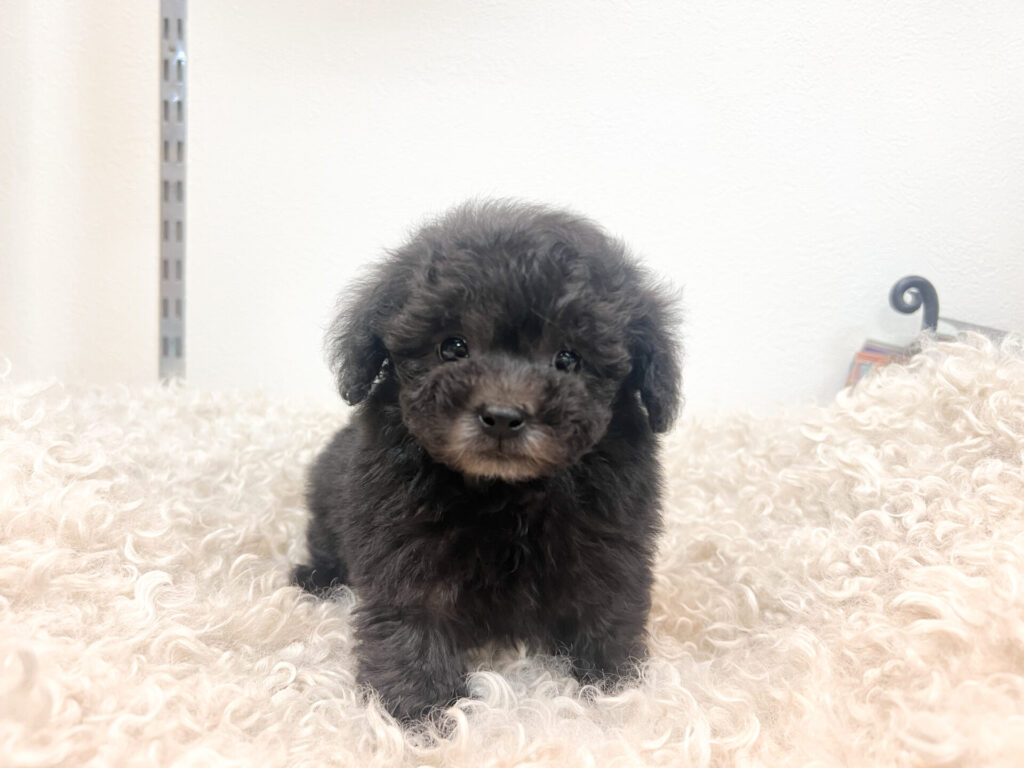 2026年1月26日撮影 男の子★