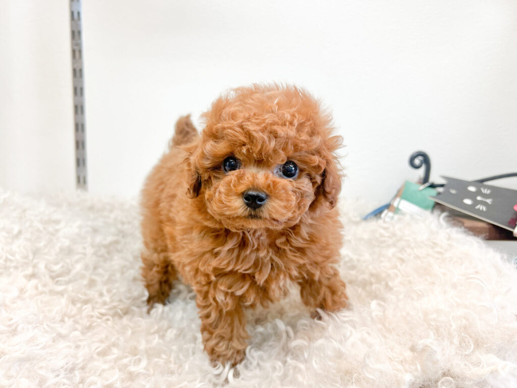 2026年1月30日撮影