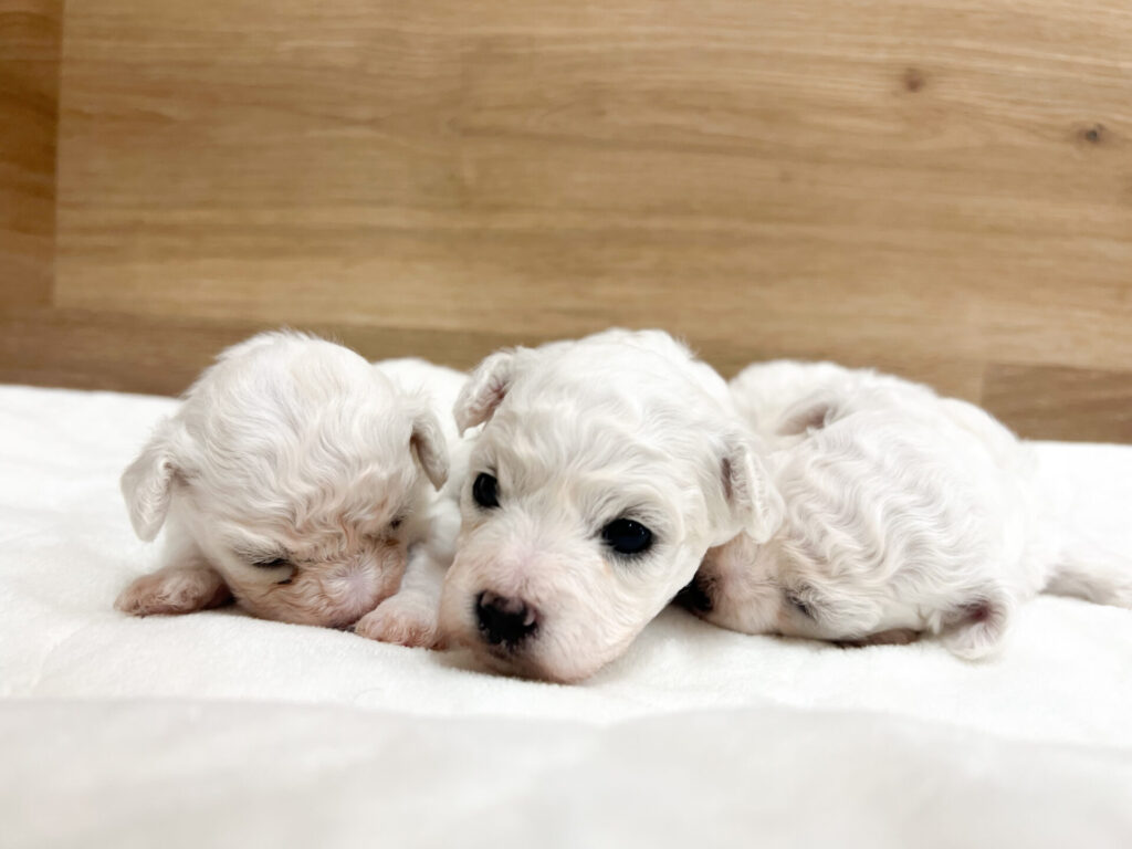 すくすく育ってます♡