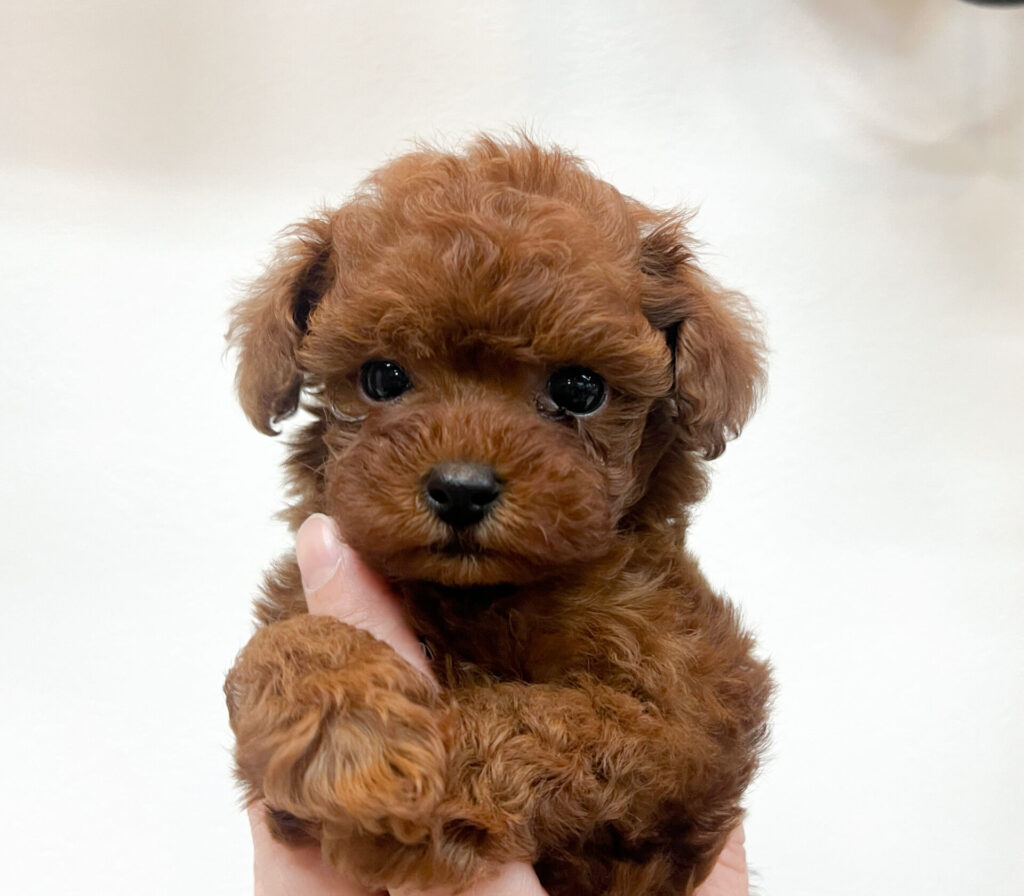 2026年2月2日撮影