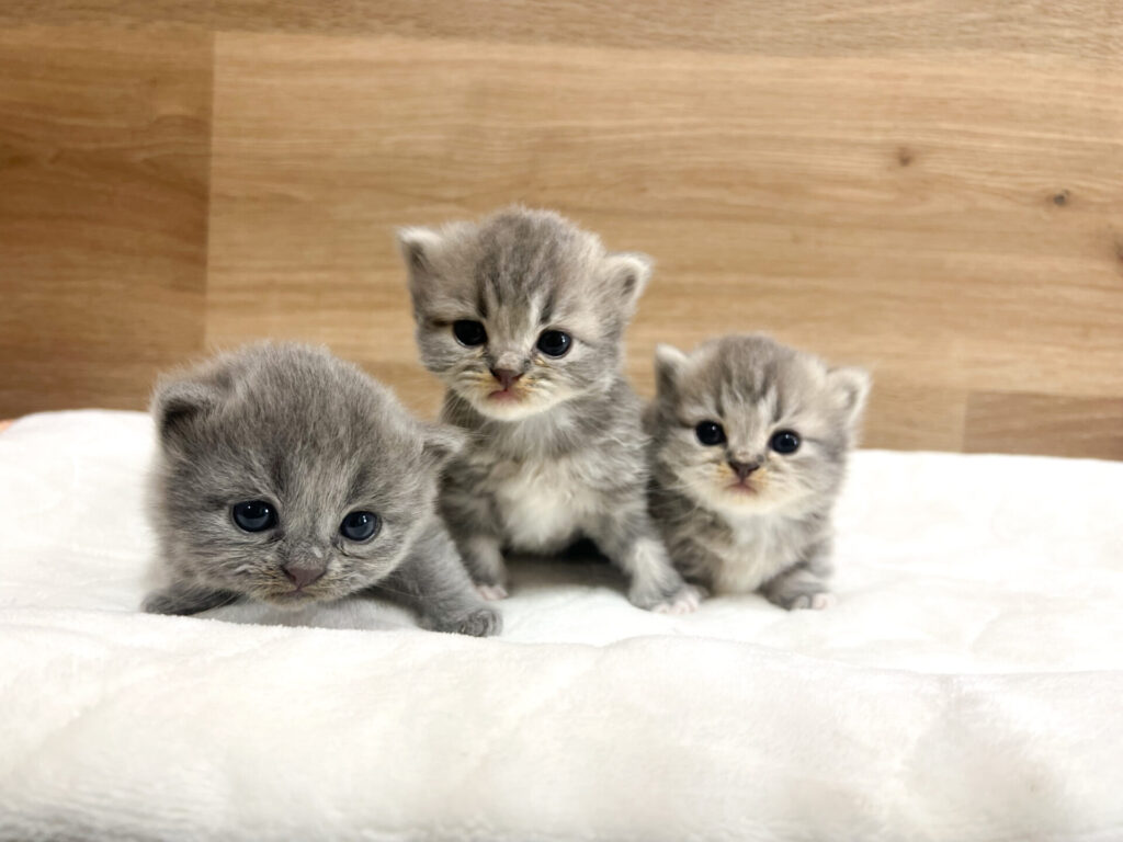 目もあいて、動きも出てきました♡*゜