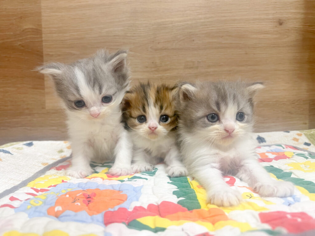 2026年2月6日撮影