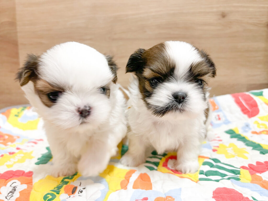 2026年2月16日撮影