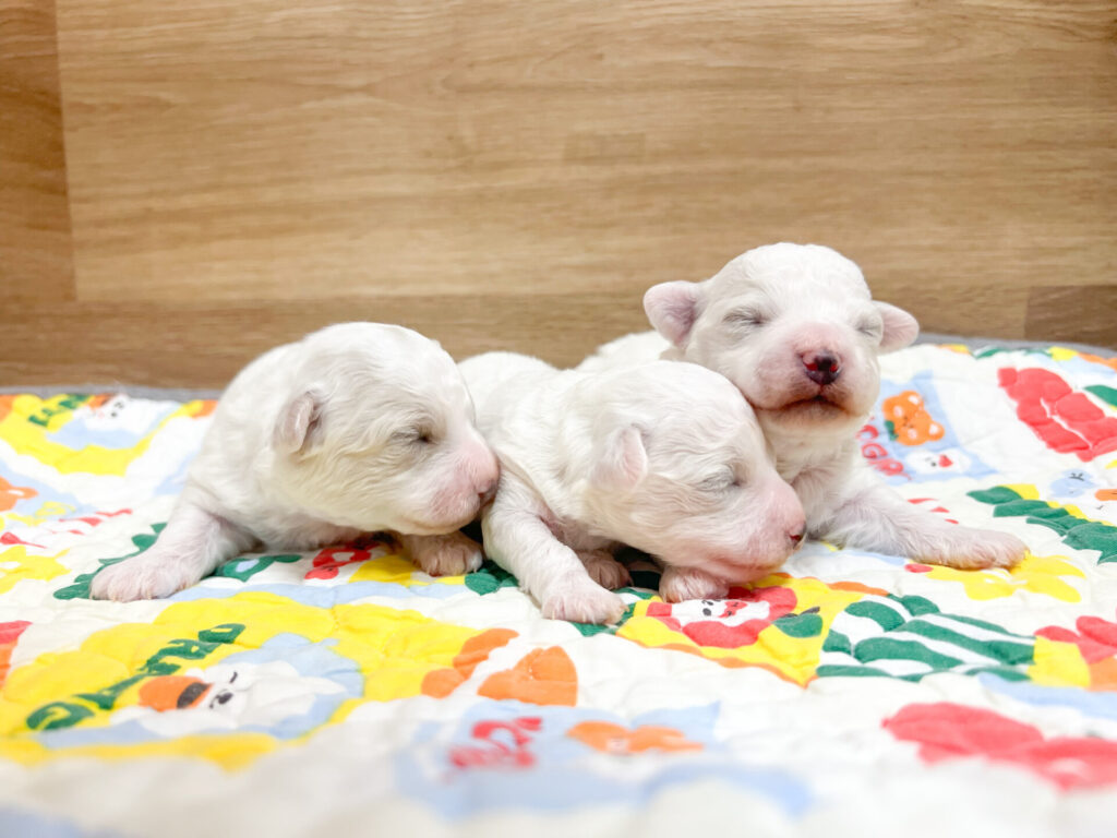 2026年2月16日撮影