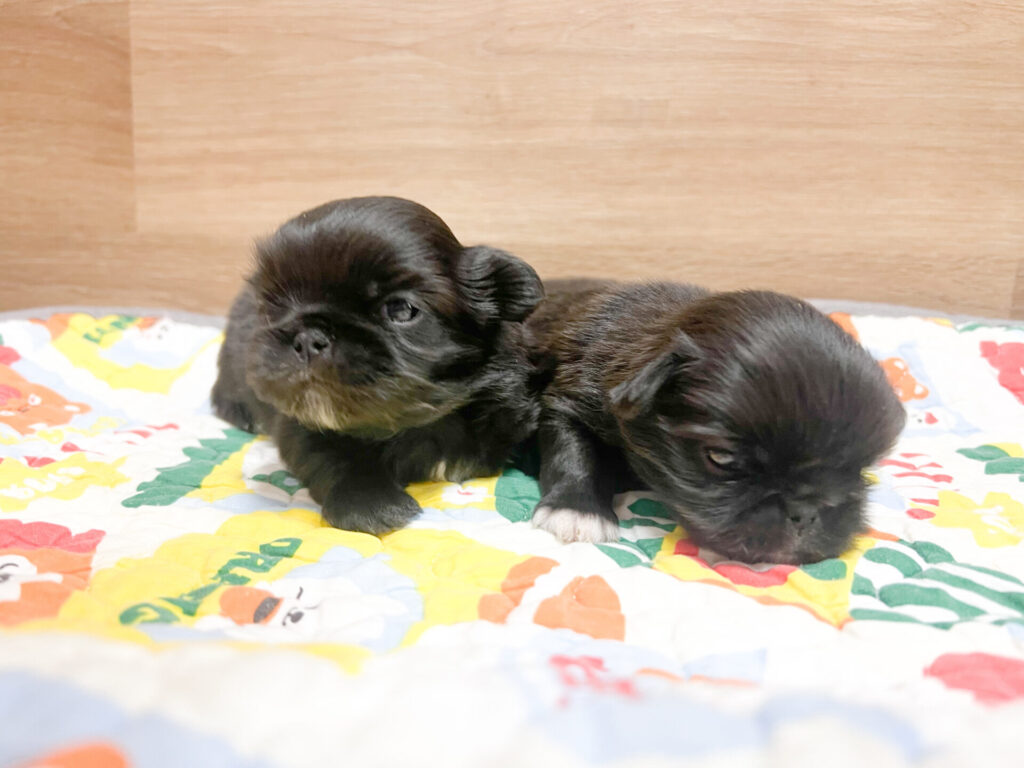 2026年2月16日撮影