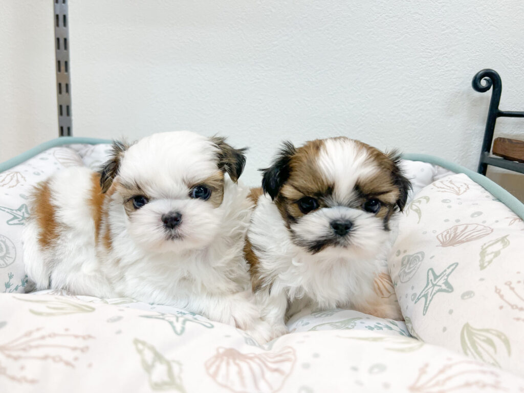 2026年2月25日撮影