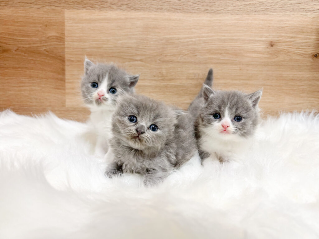 2026年3月2日撮影