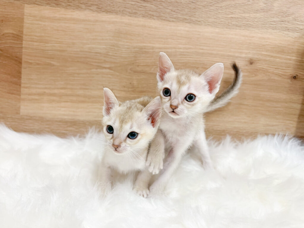 2026年3月2日撮影