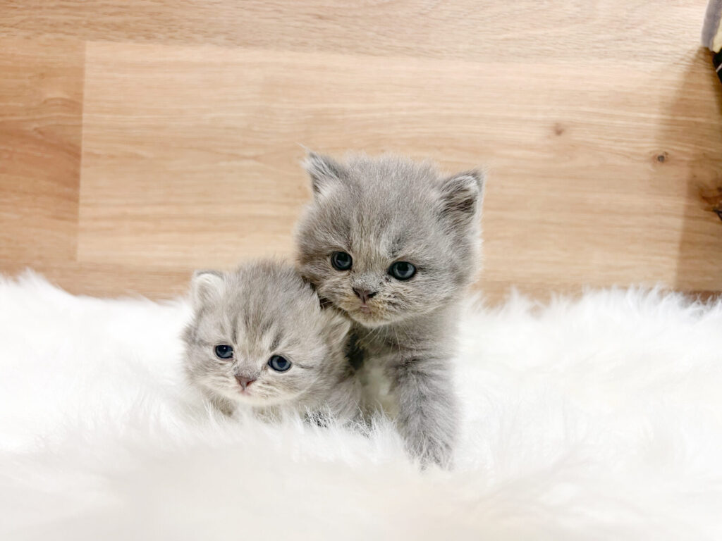 2026年3月2日撮影