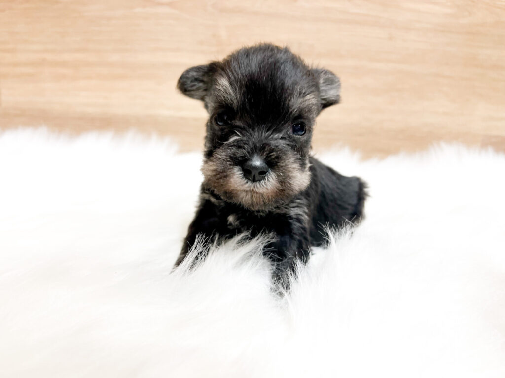 2026年3月20日撮影